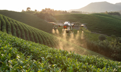Digital Transformation of  Agricultural Sector by UAV’s (Unmanned Aerial Vehicles)