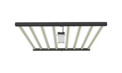 OCTAMOL Sera Aydınlatma Armatürleri