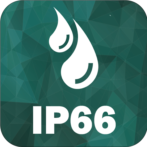 IP66